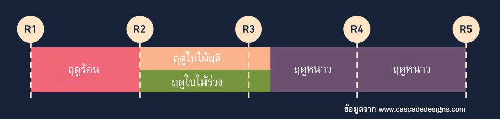 r-value